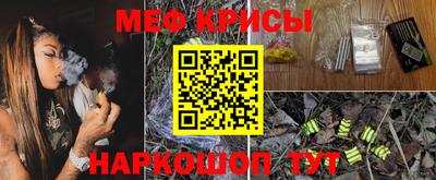 молекула духа Кингисепп