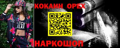 молекула духа Кингисепп