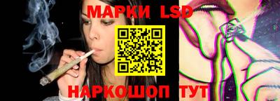 молекула духа Кингисепп