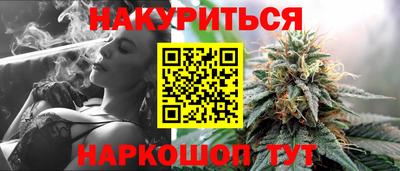 молекула духа Кингисепп
