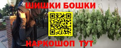 молекула духа Кингисепп