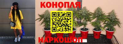 прущая мука Кимры