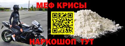 молекула духа Кингисепп