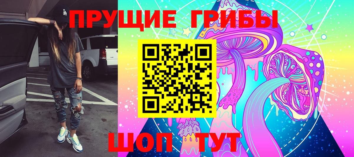 даркнет сайт  Вход с VPN  Тайшет  Галлюциногенные грибы мицелий  Псилоцибиновые грибы прущие грибы 
