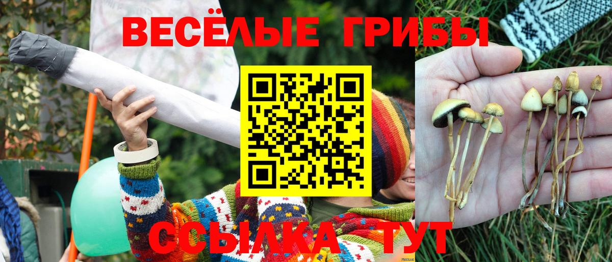 Галлюциногенные грибы мухоморы Тайшет